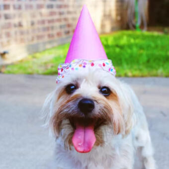 Mam tę moc - organizacja imprez, eventów